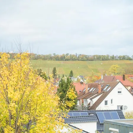 Crazy Monkey Loft Mit 70qm In Heilbronn-city * Heilbronn